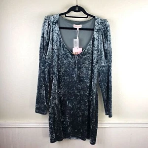 Leyden NWT Women's Blue Gray Velvet Dress Size XL - Picture 1 of 9