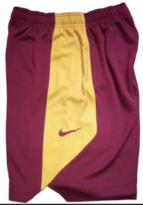 NWT Nike Cleveland Cavaliers Basketball Shorts, Burgundy w/Gold Stripe Size XL - Picture 1 of 3