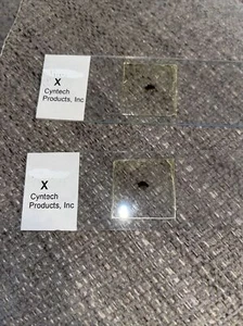 2Pcs Glass Prepared Microscope Slides of Insect - Fruit Fly - Picture 1 of 1