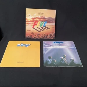 VERY CLEAN SKY4 FIVE LIVE, CADMIUM PROG ROCK VINYL LP RECORD LOT - Picture 1 of 11