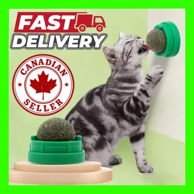 Catnip Wall Ball Interactive Toy Cat Stick-on Treat Natural Digestive Aid Snack - Image 1 of 4