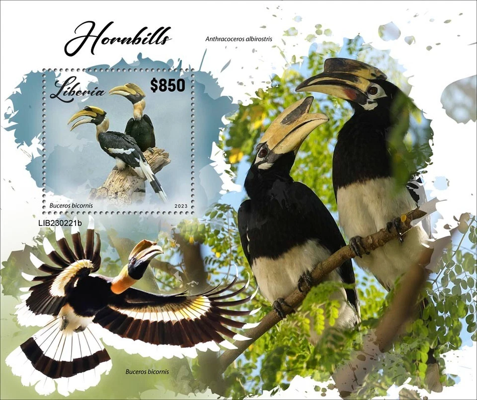 Estampillas Hornbills Birds MNH 2023 Liberia S/S Foto 1 de 1