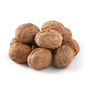 NUTS U.S Walnuts in Shell Grown and Packed in California Chandler Variety Fresh - Picture 1 of 12