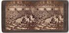 Fotografia stereofoniczna Underwood & Underwood, Waszyngton, DC, Izba Reprezentantów 