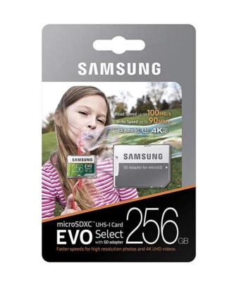 Samsung 256GB Micro EVO select S10 SD card for Galaxy S10 plus S10e S9 S8 note 9 - Image 1 of 4