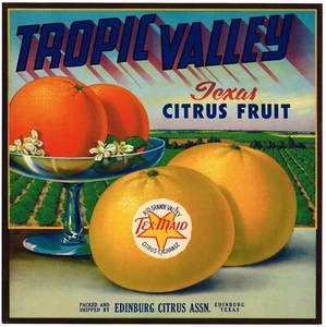 ORIGINAL CITRUS CRATE LABEL VINTAGE 9X9 1939 FILE TROPIC VALLEY EDINBURG TEXAS - Picture 1 of 1