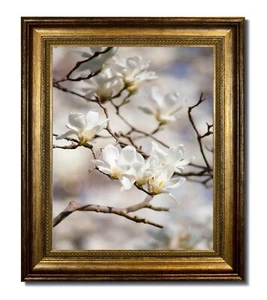16x20 Champagne Classic Bead Picture Frame, Clear Glass & Backing - Picture 1 of 2