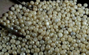 Oferta del festival 3500 quilates perlas blancas de agua dulce piedras preciosas naturales al por mayor - Imagen 1 de 10