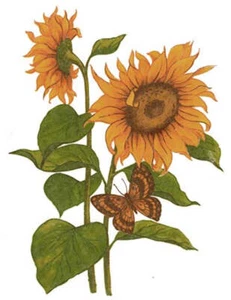 Yellow Sunflower Brown Butterfly Overglaze Waterslide Ceramic Decals - Picture 1 of 3