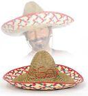 Sombrero bunt rot Mexikohut Mexikanerhut Kostüm Mariachi Mexikaner Hut 123843913