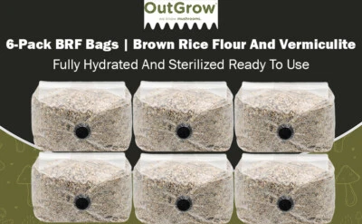 Bolsas de cultivo de sustrato de hongos BRF (paquete de 6) Foto 1 de 4