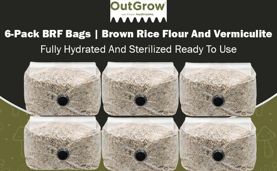 BRF Bags Brown Rice Flour Mushroom Substrate Grow Bags / Is for 12 Bags