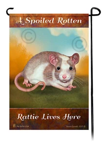 A Spoiled Rotten Tan and White Pied Rat Lives Here - Imagen 1 de 1