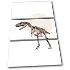 Dinosaur Skeleton T-Rex Modern Animals Treble Canvas Wall Art Picture Print