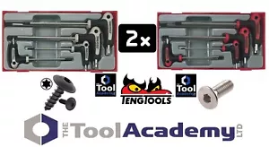 Teng Tools SPECIAL 14 pz maniglia a T chiave a brugola esagonale e kit di strumenti chiave a stella Torx - Foto 1 di 6