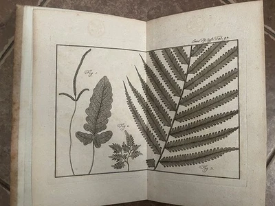 1770s Engraved PLANTS 12 plates- Carl Linne: Vollständiges Pflanzensystem GERMAN - Image 1 of 4