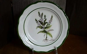 Primula decorata a mano Salad Plate Veronica anagallis-aquatica MADE IN ITALY - Picture 1 of 4