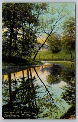 Vintage Terrapin Park Lane Parkersburg WV Scenic Postcard 1¢ Stamp - Image 1 of 2