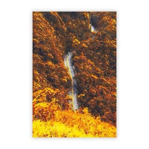 Driving Through a Forest in Brazil Wall Art Poster Print Landscape - Picture 1 of 4