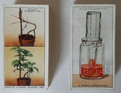 W.D.Wills Household & Garden Hints 1936/38 Cigarette Trade Cards 2 Complete Set - Image 1 of 2