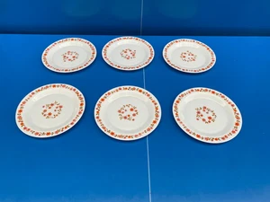 Lot De 6  Assiettes Plate , Arcopal, Scania Fleur Orange Vintages TBE - Picture 1 of 4