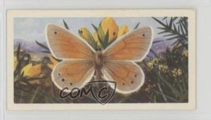 1963 Brooke Bond British Butterflies Tea Large Heath #10 4az