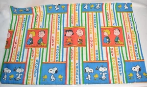Peanuts Charlie Federa cuscino marrone vintage - Foto 1 di 6