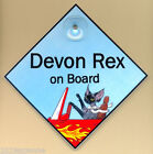 Devon Rex cat on board art car sign from original painting by Suzanne Le Good