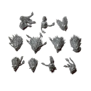 Space Wolves Wulfen HEADS x 11 Wolf Space Marine 40K - Imagen 1 de 1