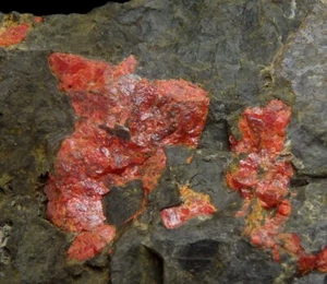 REALGAR rare locality ! -- SPAIN Asturias - Pola de Lena - Soterraña Mine /ph081 - Picture 1 of 16