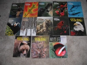 Lot of 13 National Wildlife Federation Magazines 1993-1995 - Bild 1 von 7