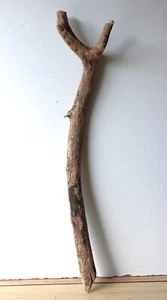 Treibholz Schwemmholz Driftwood  1 XL Ast  Garderobe  Dekoration 87 cm - Bild 1 von 16