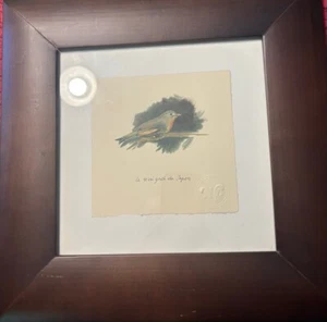 Isabella Borchgrave framed art Birds Feathers Butterfly series original 1 in 4 - Foto 1 di 4