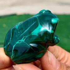 51G Natural Malachite quartz hand Carved Crystal frog minerals Healing