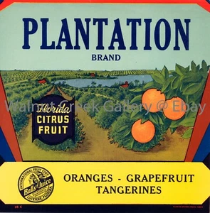 Florida Fruit Crate Label Fine Art Print, Plantation, approx 10.8" x 11" 12915 - Picture 1 of 1