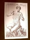 Torace #2 Tavola Anatomica Litografia Giulio Cesare Casseri 1627 Ristampa