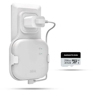 256GB MicroSD Card for Local Video Storage with Blink Sync Module XR Outlet M... - Picture 1 of 9