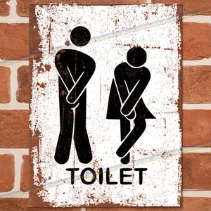 TOILET Funny Metal Signs Wall Poster Bar Home Pub Garage Shed Loo Joke Tin Sign - Picture 1 of 3