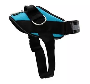 Essential Dog Harness, No-Pull Pet Vest with 3 Leash Clips, No S Oceanic Blue - Picture 1 of 7