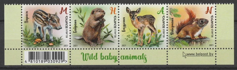 Sellos de animales de fauna de Bielorrusia 2021 4 MNH Foto 1 de 1