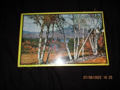 VTG WARREN BUILT RITE PICTURE PUZZLE 500 Pieces #7988 NEW SEALED - Image 1 of 4