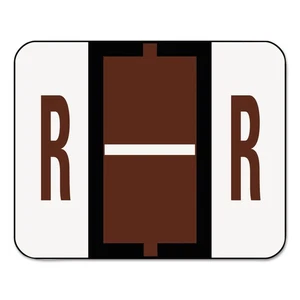 Smead A-Z Color-Coded Bar-Style End Tab Labels Letter R Brown 500/Roll 67088 - Picture 1 of 5