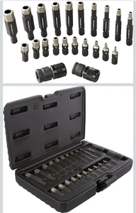 Steelman Pro 78800 Set di punte esagonali 22 pezzi antimanomissione con punte diamantate GRATIS S&H - Foto 1 di 4