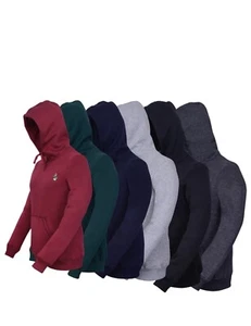 Polo Ralph Lauren Bear Hoodie Pullover Sweatshirt NWT Sizes M,L,XL,2XL,3XL,4X,5X - Picture 1 of 10