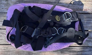 oxycheq harness and wing - Picture 1 of 2
