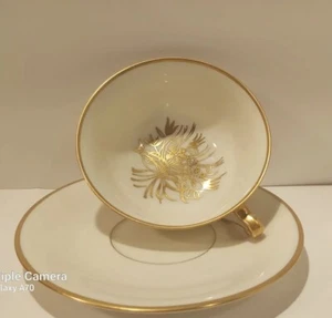 Rare LIMOBGES FRANCE Cup & Saucer With Golden Stamp. Cream & Gold Purslane DURE - Picture 1 of 7