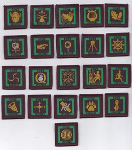 1950's BRITISH / UNITED KINGDOM Senior Scout (BS Series) Proficiency Badge No.2 - Picture 1 of 1