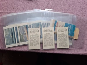 JUEGO COMPLETO - TARJETA FOTO WARNE OBSERVADORES - ENVÍO SERIE VIII 32 GD+ caja FR - Imagen 1 de 14