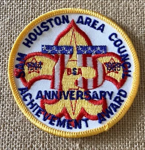 Vintage 1989 BSA Houston Area Council Achievement Award Badge Boy Scouts Patch - Picture 1 of 2