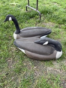 Vintage Set Of 2 Signed. Decoys Unlimited Goose Decoys - Picture 1 of 4